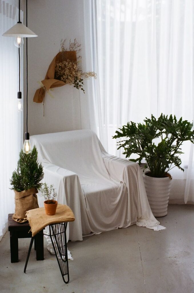 Elegant minimalist decor with a draped chair and lush plants, creating a serene indoor space.